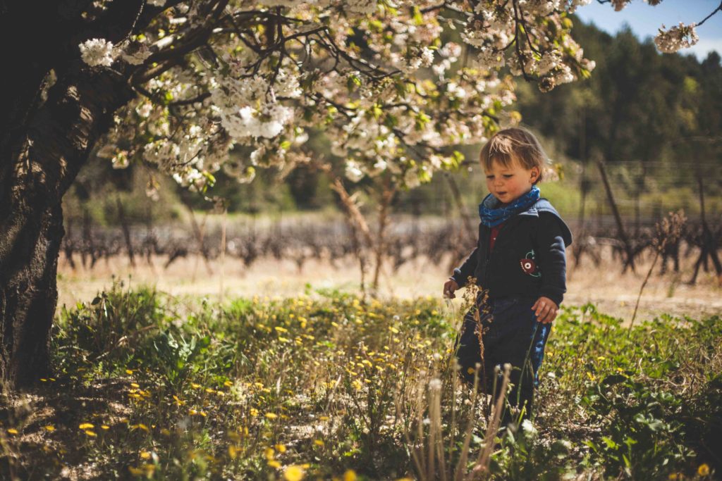 photographe luberon provence