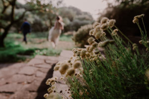 mariage; provence; lorgues; chateau crostes; mademoiselle events; lorgues, vaucluse