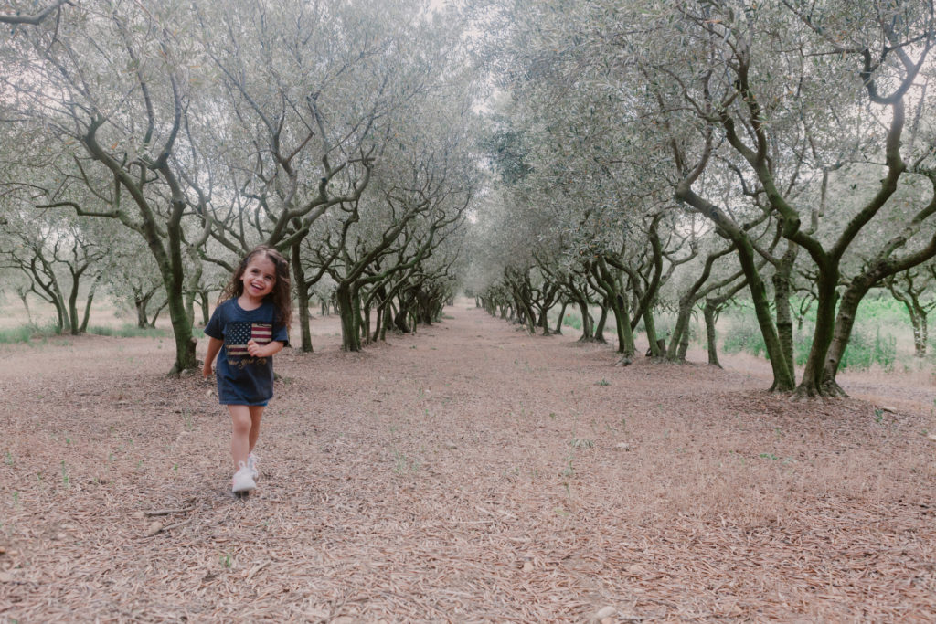 photo de famille oliveraie provence