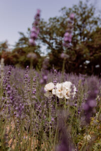 photographe mariage provence